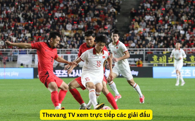 xem trực tiếp bóng đá trên Thẻ Vàng TV